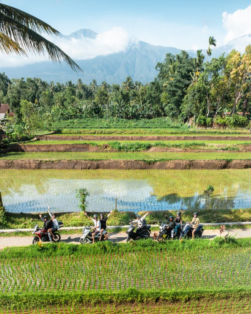 About 3 Lombok Loop motorcycle tour in the rice fields of Tetebatu
