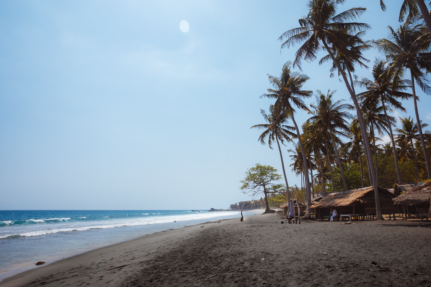 Senggigi Beach: An Honest Guide to Lombok's Old Hub 4 Palms along the shoreline at Kerandangan Beach north of Senggigi