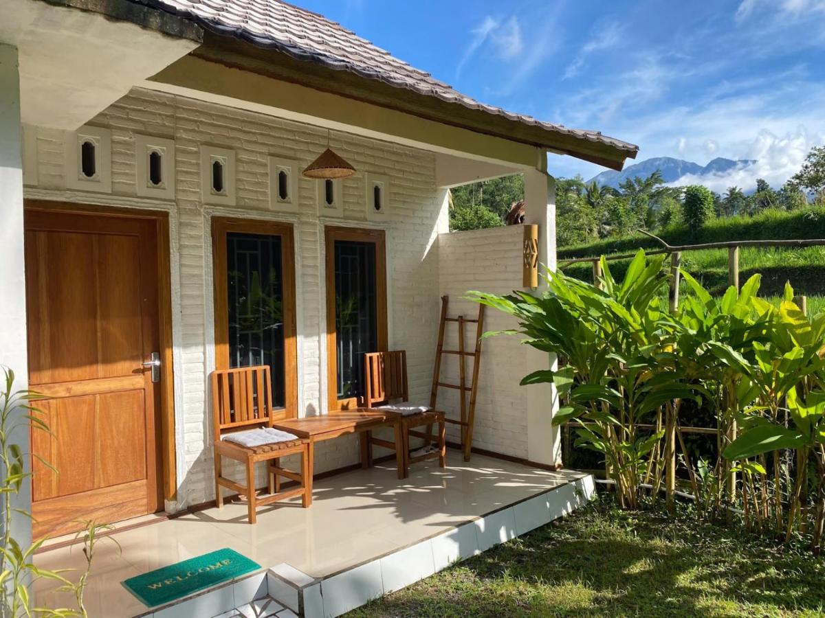 Sarang Walet Homestay outdoor seating in sun