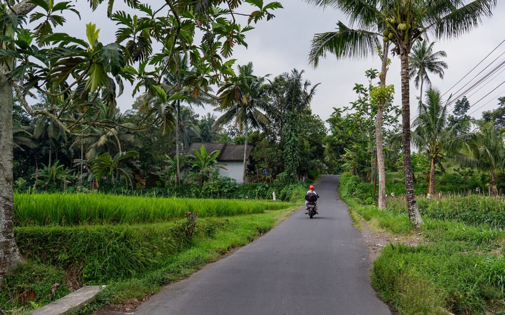 Scooter Rental in Lombok: A Local's Guide (2026) 5 Scooter riders on a narrow road between rice fields in central Lombok