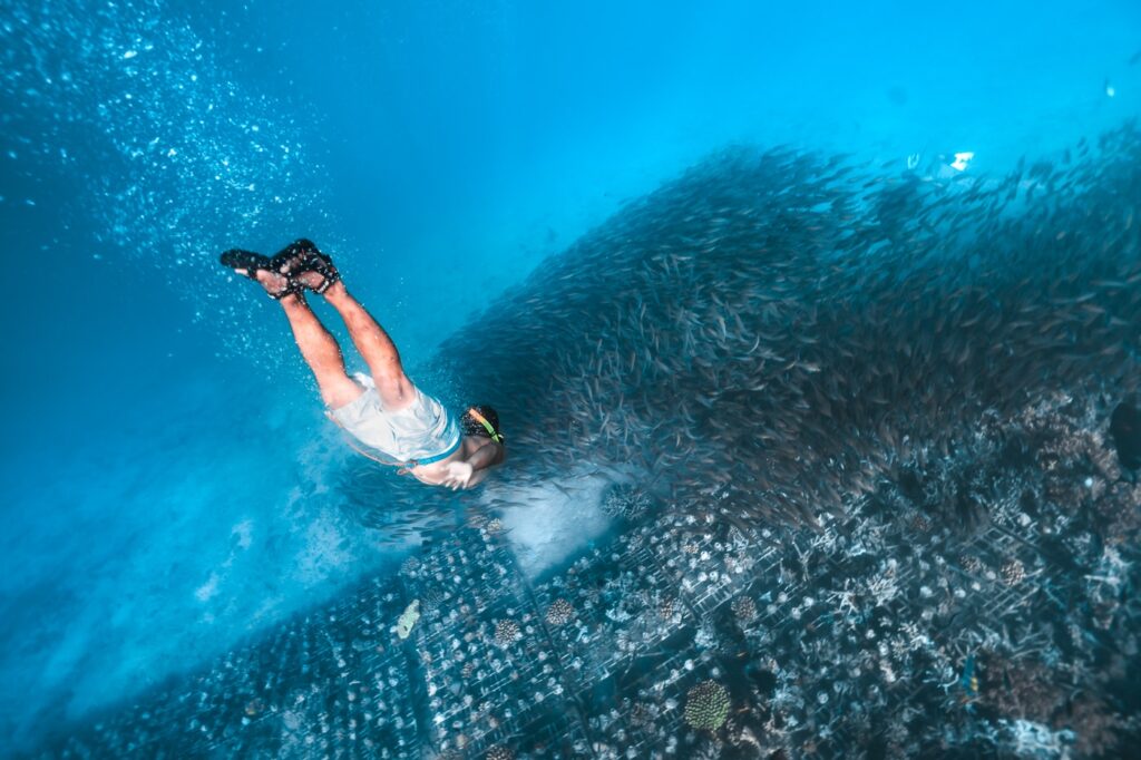 Secret Gili's Camping 5 Snorkeling Secret Gilis