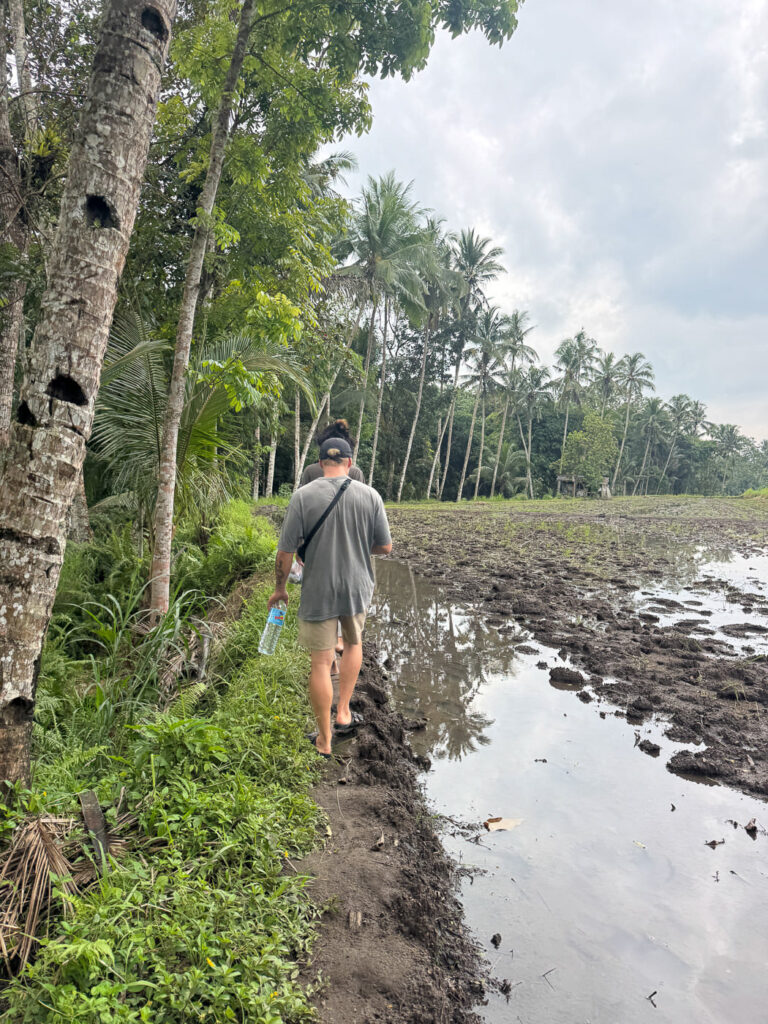 Lombok River tubing: How to Visit Bawak Goak Sesaot 19 Walking along the rice fields at Bawak Goak Sesaot