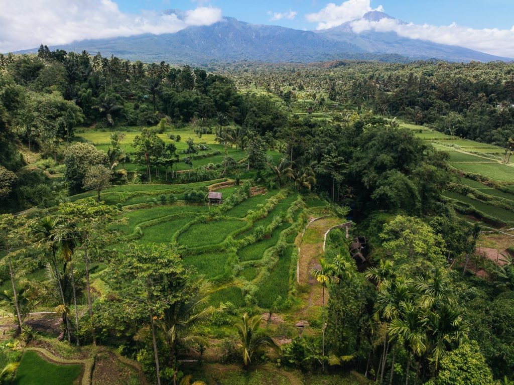 Tetebatu Waterfall (Durian Indah): A Local's Guide 7 Rice terraces and the slopes of Mount Rinjani above Tetebatu village, Lombok